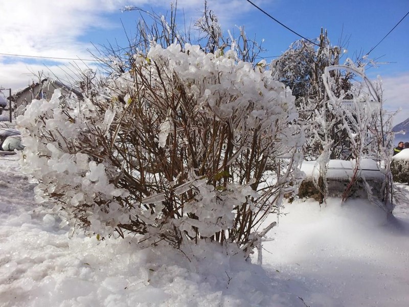 20140206_111634.jpg